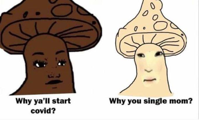 Why start Why you single mom? covid?