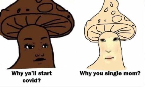 Why start Why you single mom? covid?
