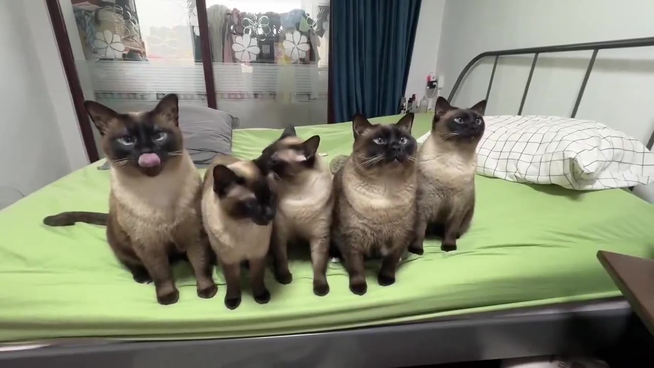 👅👅👅👅👅