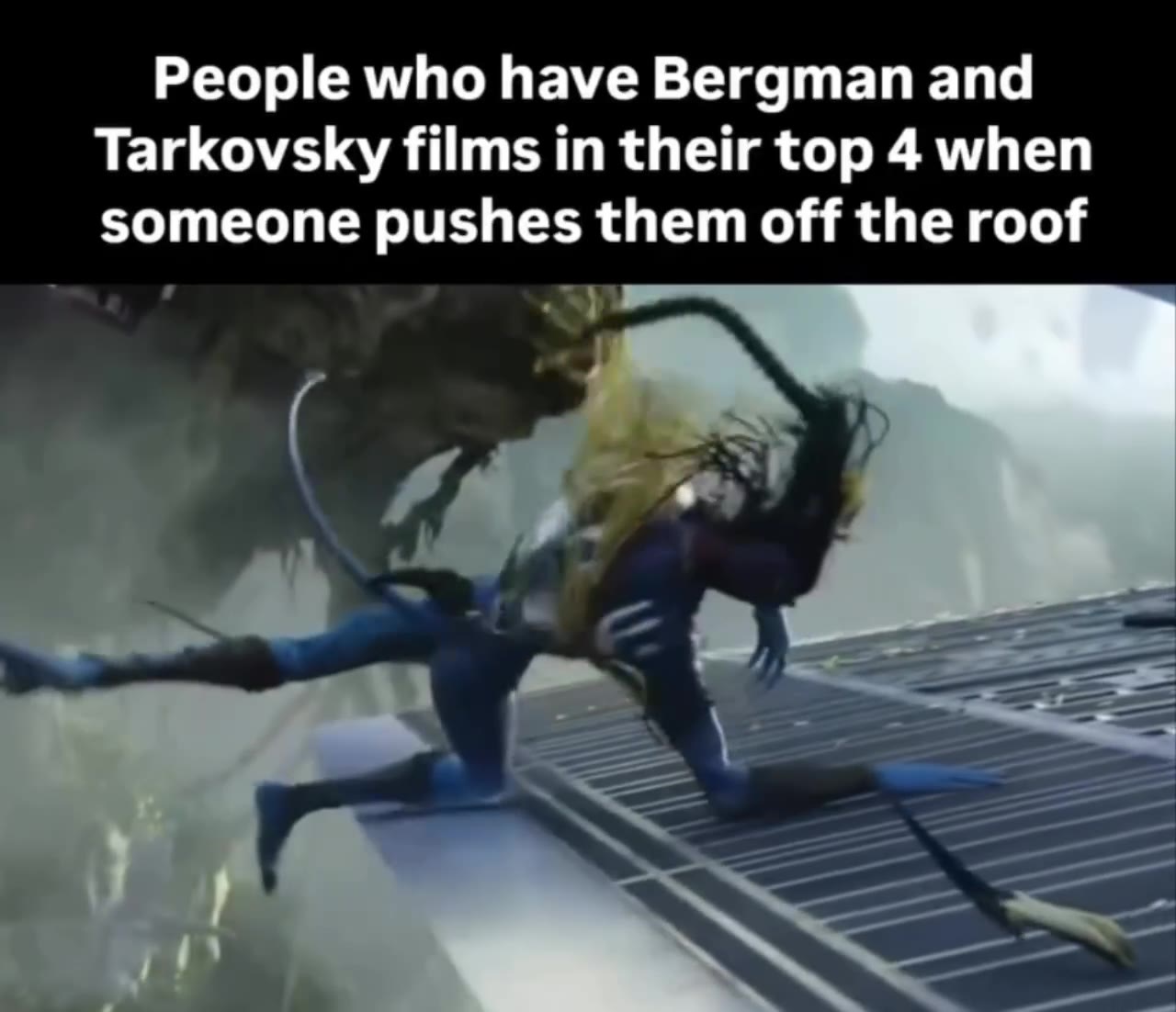 People who have Bergman and Tarkovsky films in their top 4 when someone pushes them off the roof
