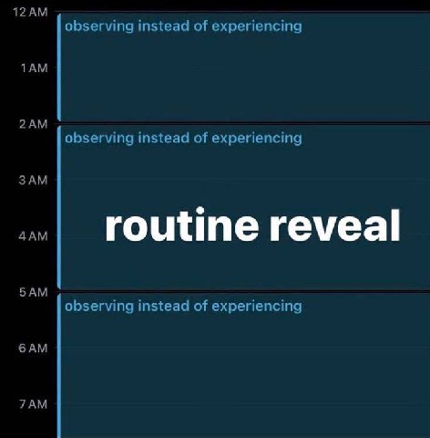 observing instead of experiencing observing instead of experiencing routine reveal observing instead of experiencing