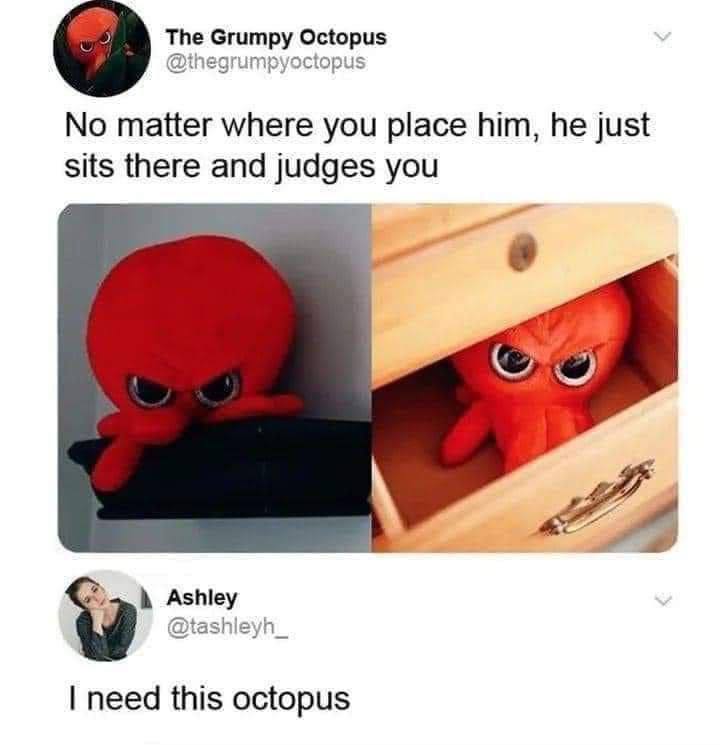 The Grumpy Octopus @ihegrumpyoctopus No matter where you place him, he just sits there and judges you Ashley @tashleyh_ need this octopus