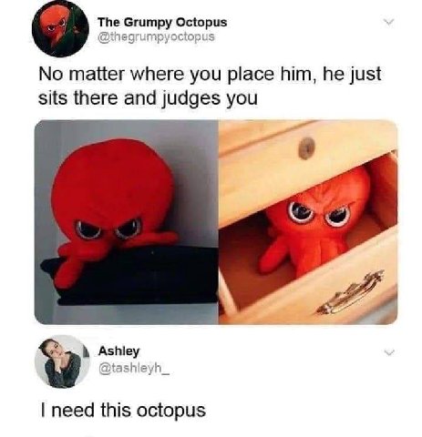 The Grumpy Octopus @ihegrumpyoctopus No matter where you place him, he just sits there and judges you Ashley @tashleyh_ need this octopus