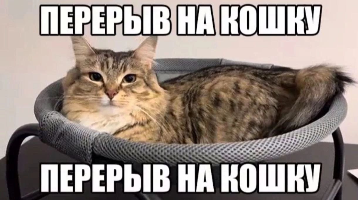 18 я У $2 44 Pag ПЕРЕРЫВ НА КОШКУ
