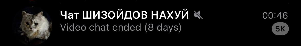 https://t.me/shizoidsnahui нормально все?