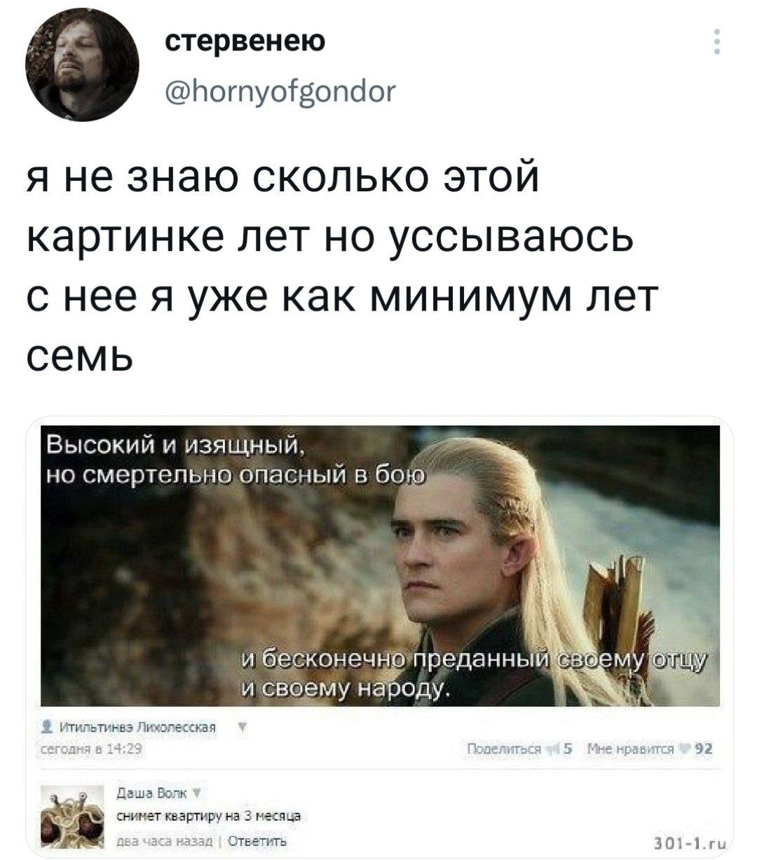 стервенею @hornyofgondor я не знаю сколько STON картинке лет но уссываюсь с нее я уже как минимум лет семь Высокий и изящный но смертельно опасный в бою 2 и бесконечнопреданный и своему народу Лихолес