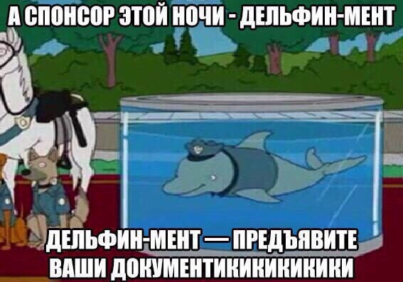 СПОНСОР ЭТОЙ НОЧИ ДЕЛЬФИН-МЕНТ Я ДЕЛЬФИН-МЕНТ ПРЕДЪЯВИТЕ ВАШИ ДОКУМЕНТИКИКИКИКИКИ