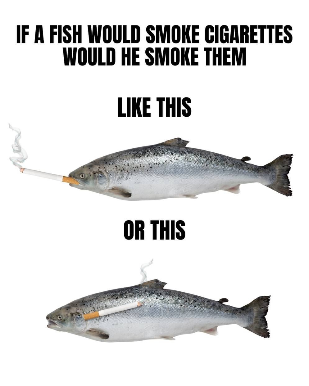 IF A FISH WOULD SMOKE CIGARETTES WOULD HE SMOKE THEM LIKE THIS at 7 OR THIS