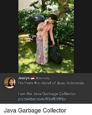 4 1 Jesslyn Qjtannady from the island of Java, Indonesia. the Java Garbage Collector. Java Garbage Collector