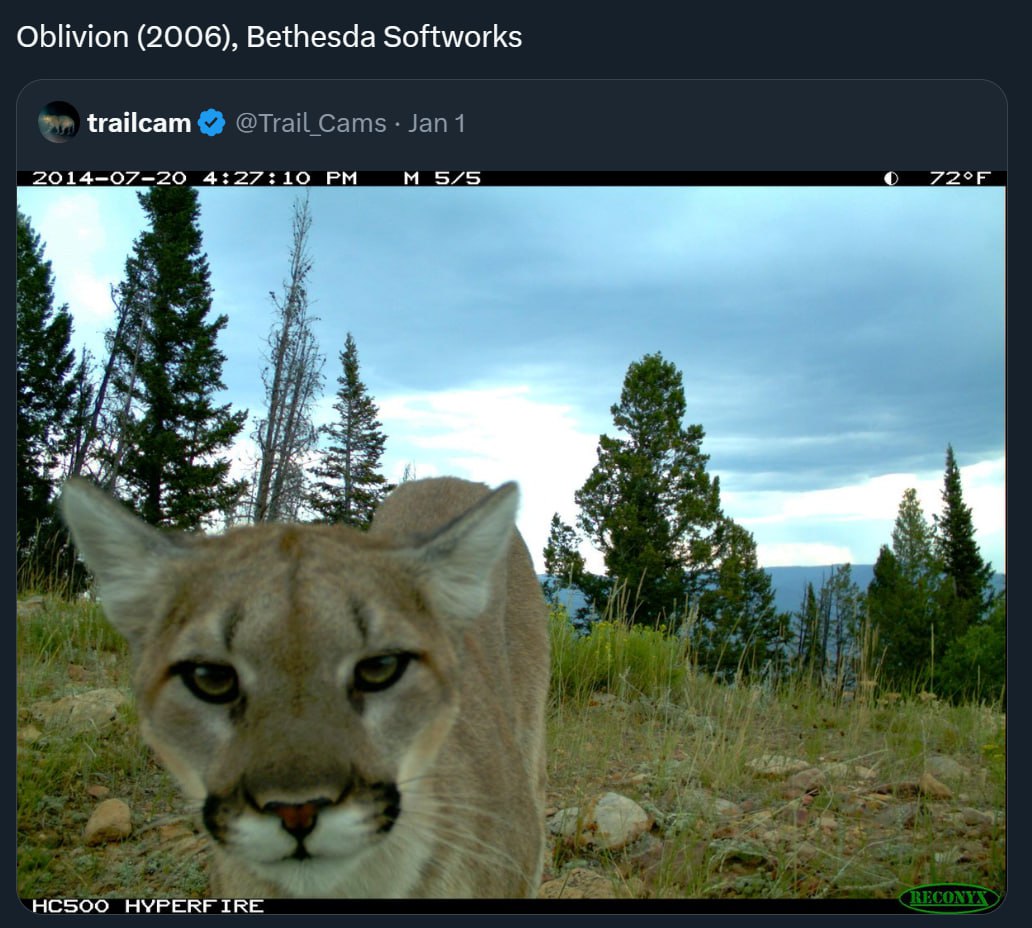 Oblivion (2006), Bethesda Softworks trailcam 2014-07-20 4:27:10 4 “les НУРЕКЕТКЕ
