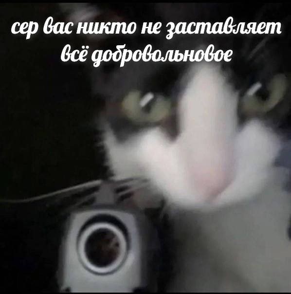 сер вас никто не заставляет добровольновое