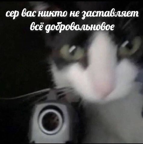 сер вас никто не заставляет добровольновое