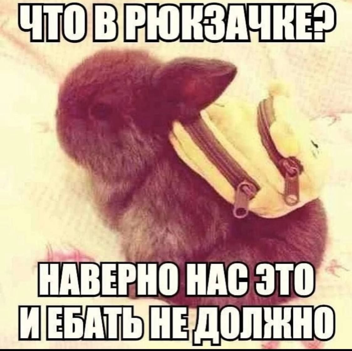 НАВЕРНО НАС ЭТО