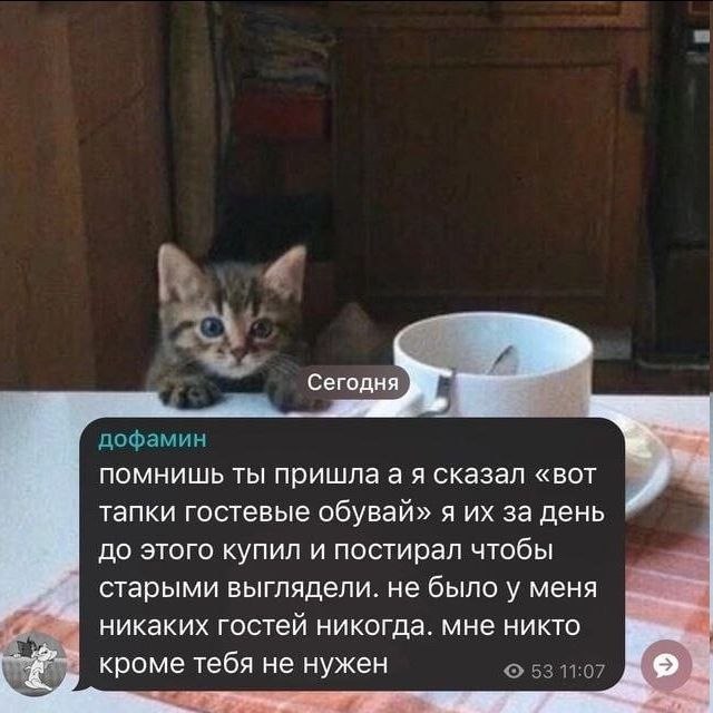 Сегодня. дофамин помнишь ты пришлаая сказал «вот тапки гостевые обувай» я за день до этого купил и постирал чтобы старыми выглядели. не было у меня никаких гостей никогда. мне никто 53 11:07 кроме теб