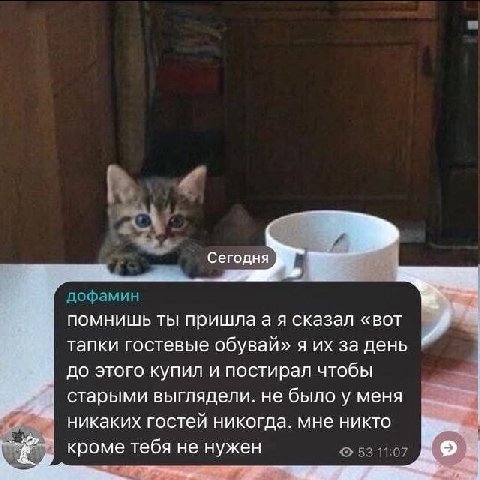 Сегодня. дофамин помнишь ты пришлаая сказал «вот тапки гостевые обувай» я за день до этого купил и постирал чтобы старыми выглядели. не было у меня никаких гостей никогда. мне никто 53 11:07 кроме теб