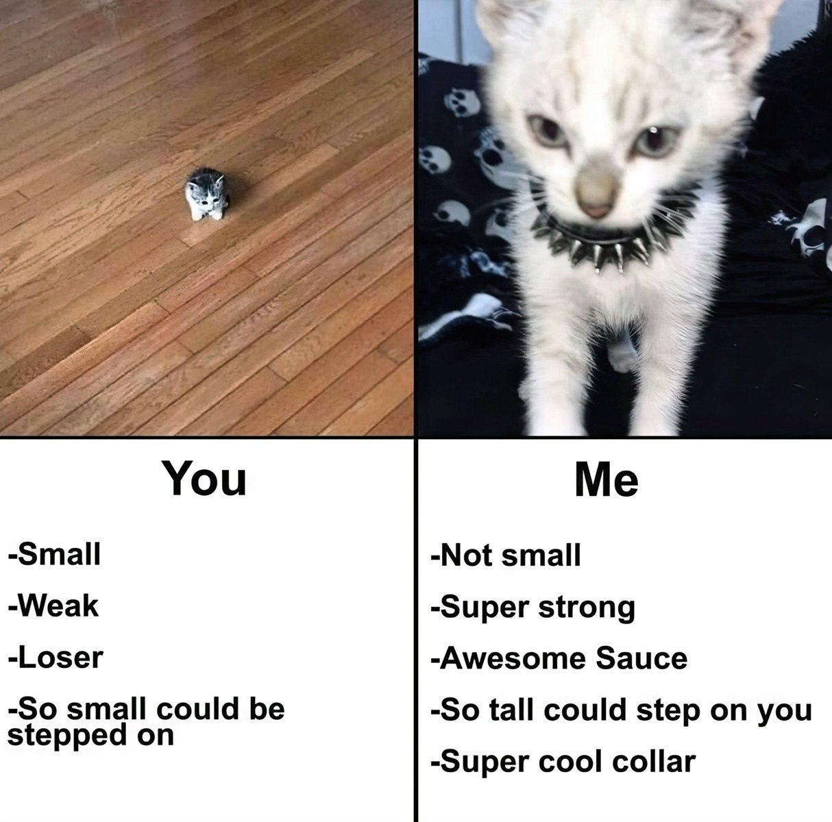 You Me -Small -Not small -Weak -Super strong -Loser -Awesome Sauce -So small could be -So tall could step on you stepped on -Super cool collar