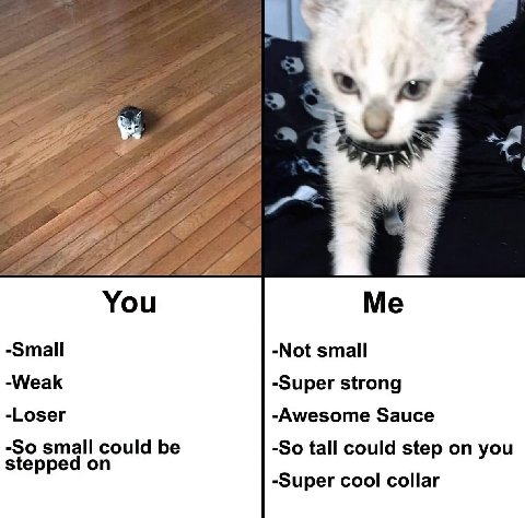 You Me -Small -Not small -Weak -Super strong -Loser -Awesome Sauce -So small could be -So tall could step on you stepped on -Super cool collar