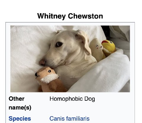 Whitney Chewston Other Homophobic Dog name(s) Species Canis familiaris