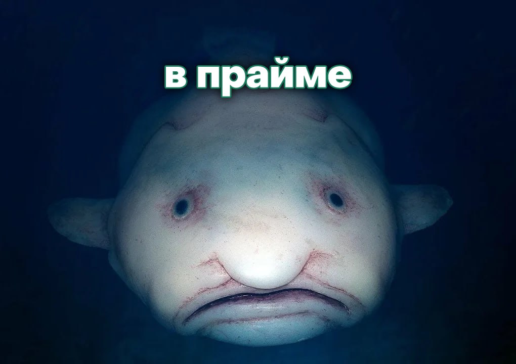име