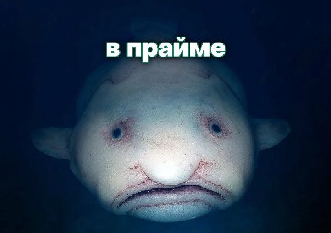 име