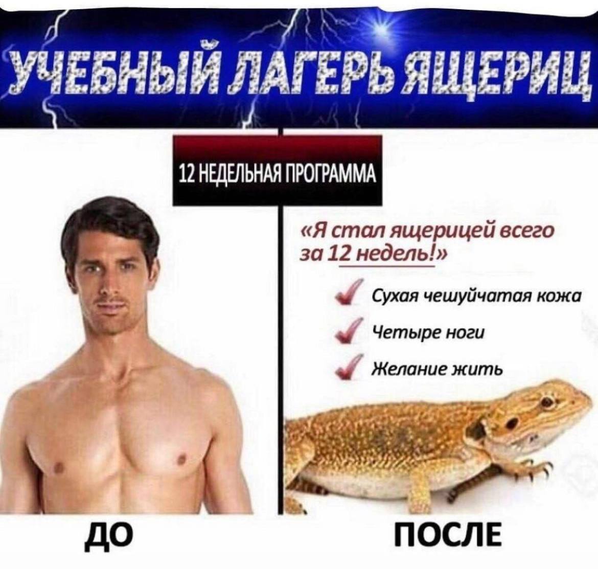 8 УЧЕБНЫЙ ЛАГЕРЬ ЯЩЕРИЦ 12 НЕДЕЛЬНАЯ ПРОГРАММА «Я стал ящерицей всего за 12 недель!» Сухая чешуйчатая кожа Четыре ноги Желание жить ДО ПОСЛЕ