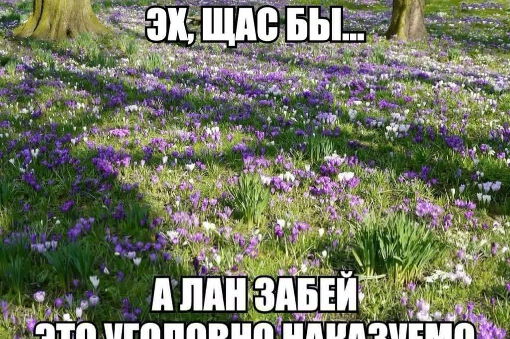 БЫ ЩАС a 96, *he a 4 a 7\ 4 ‘а 2) a 5%’ i 4 vet 4 А i А ‚9 4 my у’ и an poe 4 у АЛАН ЗАБЕЙ 1 В