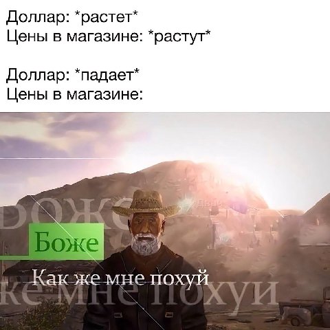 Доллар: *растет* Цены в магазине: *растут* Доллар: *падает* Цены В магазине: A Какже мне похуй