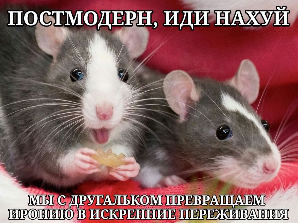 ПОСТМОДЕРН, ИДИ НАХУИ МЪГ С ДРУГАЛЬКОМ ПРЕВРАЩАЕМ НИЮ В ИСКРЕННИЕ