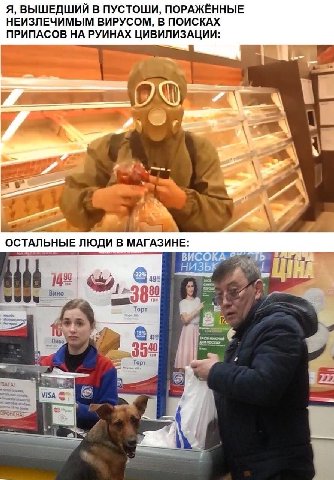 Я, В ПУСТОШИ, ПОРАЖЕННЫЕ НЕИЗЛЕЧИМЫМ ВИРУСОМ, В ПОИСКАХ ПРИПАСОВ НА РУИНАХ ЦИВИЛИЗАЦИИ ОСТАЛЬНЫЕ В МАГАЗИНЕ: BUC 5] 30 14 49 Вино 47 880 Торт Пиво 33 Торт я ЗАГА on VISA