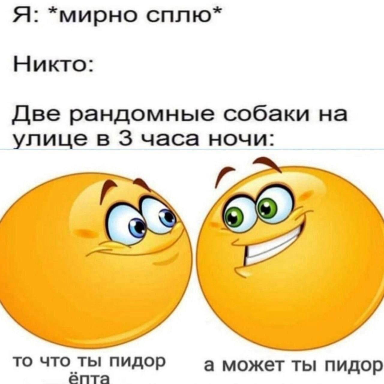 Я: *мирно сплю* Никто: Две рандомные собаки на улице в 3 часа ночи: то что ты пидор ёпта а может ты пидор
