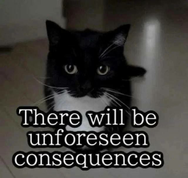 ТБеге be unforeseen consequences