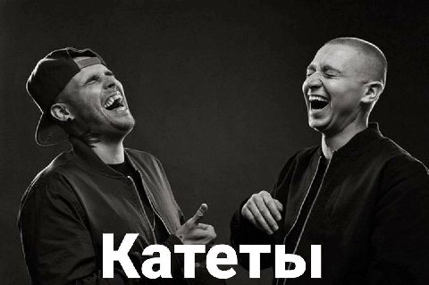 Катеты