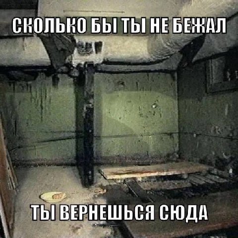 СРОЛЬРО ТЫ ВЕРНЕШЬСЯ СЮДА