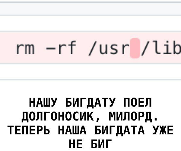 /usr НАШУ БИГДАТУ ПОЕЛ ДОЛГОНОСИК, МИЛОРД. ТЕПЕРЬ НАША БИГДАТА УЖЕ НЕ БИГ