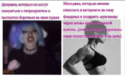 Девушки, которые не могут Женшины, которые начали смириться с патриархатом и псиопить в интернете на тему пытаются бороться за свои права и внедрять мужчинам мемы ской сами цепь)