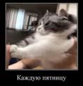 Каждую пятницу