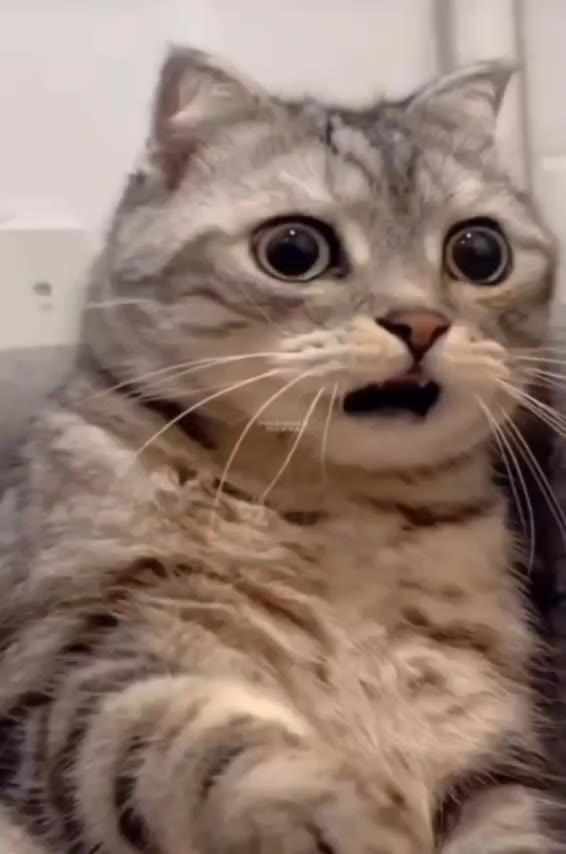 we