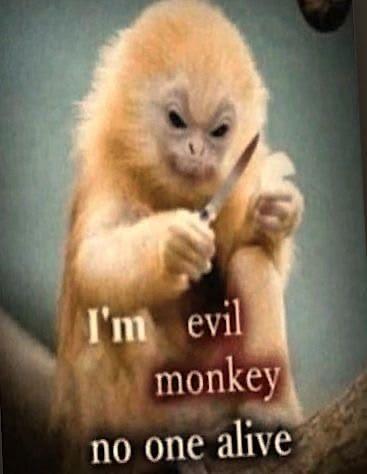2 monkey no one alive