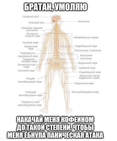 НАКАЧАЙ МЕНЯ КОФЕИНОМ [МЕНЯ ЕБНУЛА ПАНИЧЕСКАЯ АТАКА