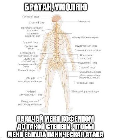 НАКАЧАЙ МЕНЯ КОФЕИНОМ [МЕНЯ ЕБНУЛА ПАНИЧЕСКАЯ АТАКА