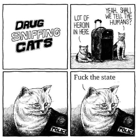 Fuck the state