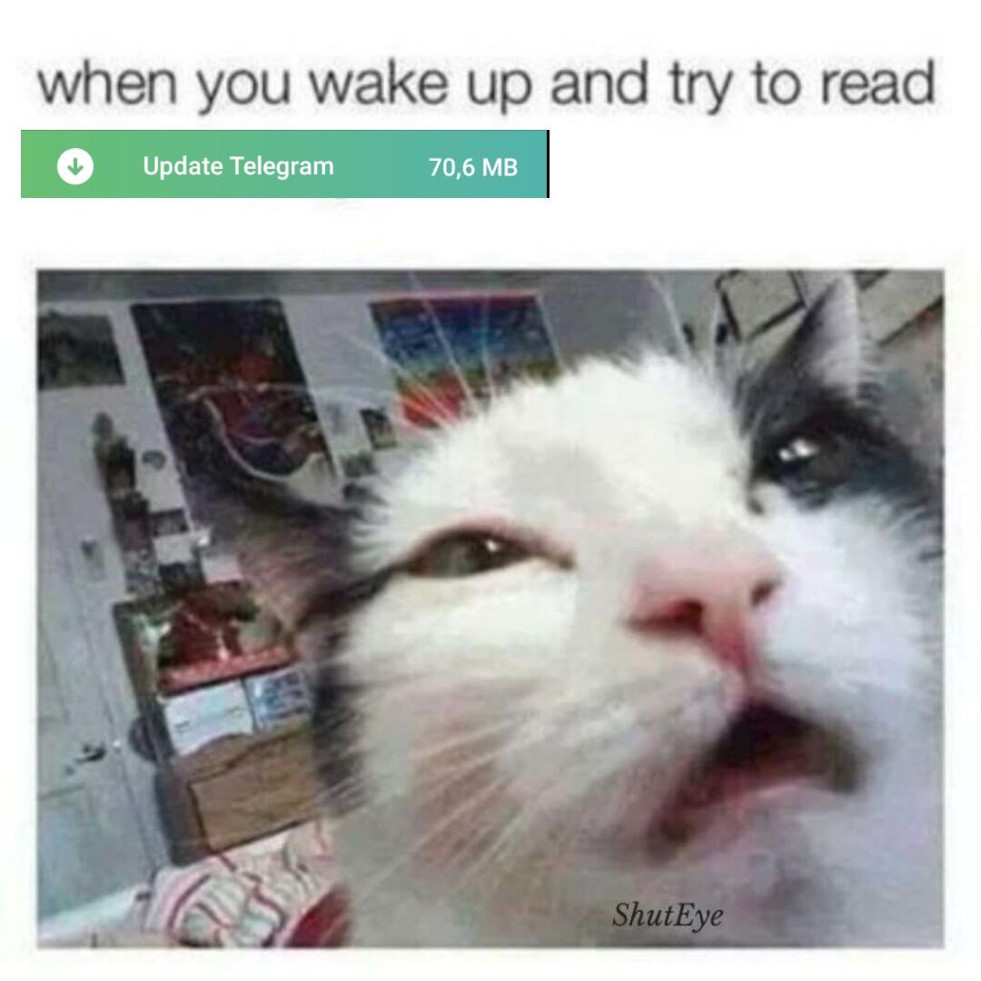when you wake up and try to read Update Telegram 70,6 4