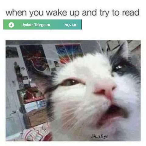 when you wake up and try to read Update Telegram 70,6 4