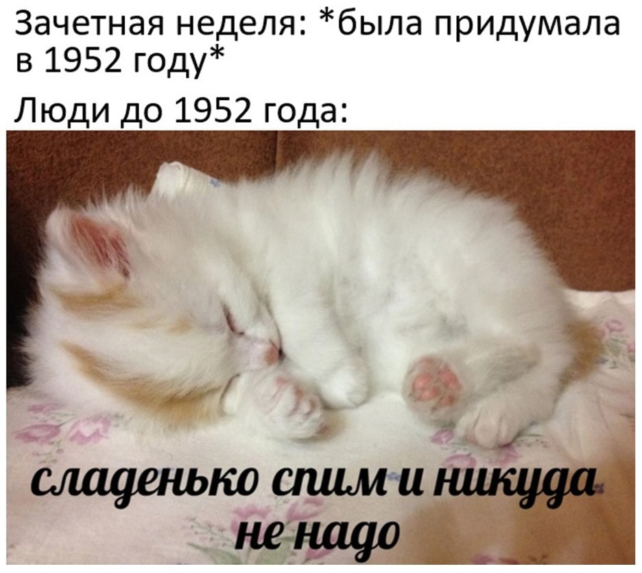 Зачетная неделя: *была придумала в 1952 году* Люди до 1952 года: сладенько
