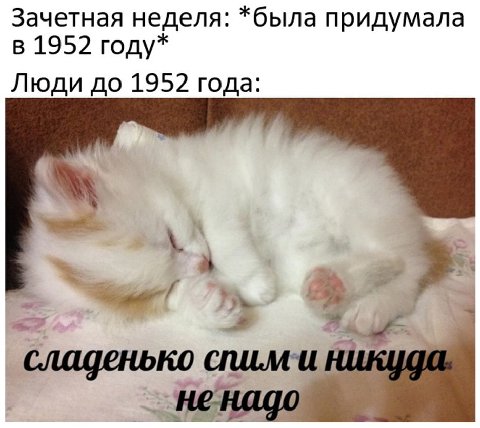 Зачетная неделя: *была придумала в 1952 году* Люди до 1952 года: сладенько