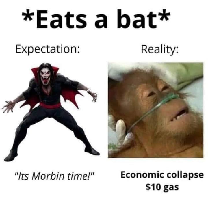 *Eats а bat* Expectation: Reality: "Its Morbin time!" Economic collapse $10 gas