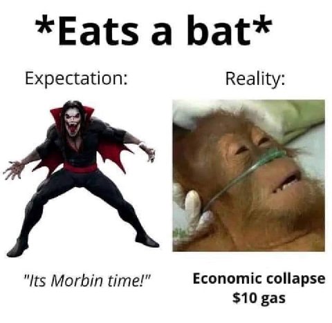 *Eats а bat* Expectation: Reality: "Its Morbin time!" Economic collapse $10 gas