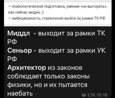 психологическая подготовка, умение «не выгорать» как сейчас модно амбициозность, стремление выйти за рамки Миддл выходит за рамки Сеньор выходит за рамки Архитектор из законов соблюдает только законы 