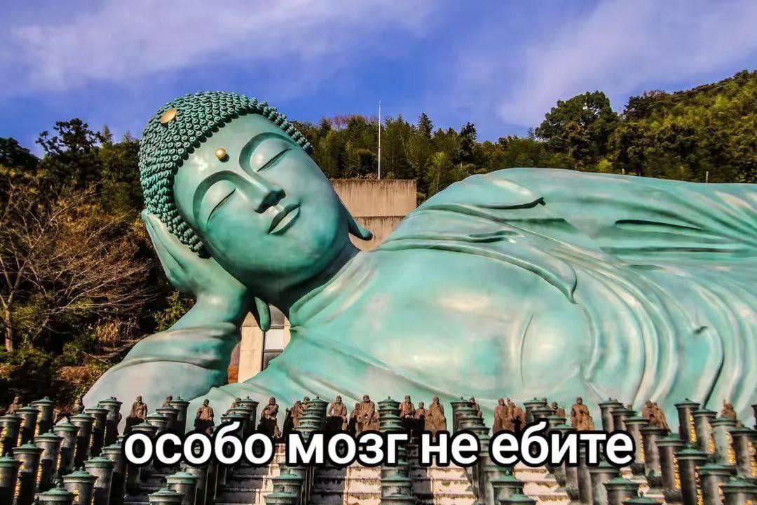 9 4 особо, мозг не ‘ебите