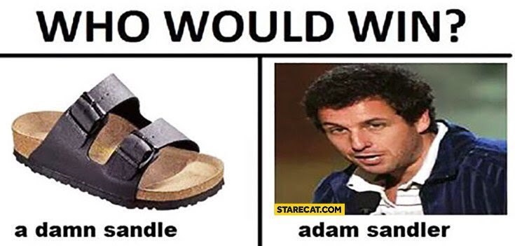 WHO WOULD WIN? 24 STARECAT.COM a damn sandle adam sandler